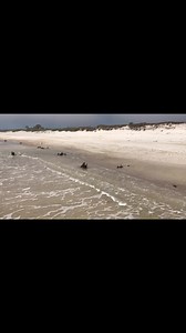 We love to vacation in remote places where there are many other folks around. Several years ago we introduced the girls to Little St. George Island off Florida’s Forgotten Coast. #forgottencoast #littlestgeorge #gulflife #seagulls #familyadventures #playtime | Shepherding Outdoors