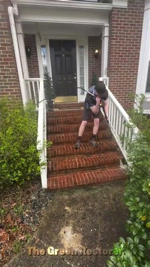Pressure Washing | Cutting | Mowing | Hedging | Cleaning #shorts #satisfying #gardening