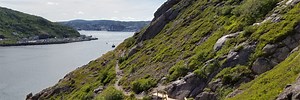 25 of the Best Walks & Hikes in St John's and Avalon Peninsula