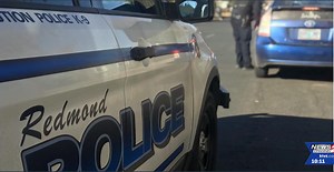 Redmond Police Department presents annual report to city councilors