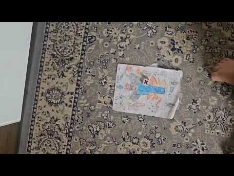 Noob proboiz vs pro proboiz. Which is better? #proboiz95