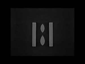 Sesame Street - 1 to 20 number elimination in B&WHPI+12R and CoNfUsIoN