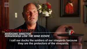 Meet the duck ‘soldiers’ guarding a 300-year-old vineyard | CNN