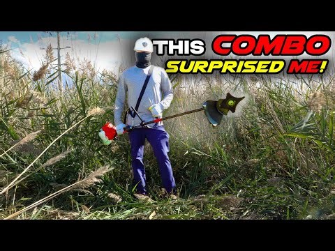 Beast or Bust? Troy-Bilt Brushcutter / String Trimmer: My First Real Test