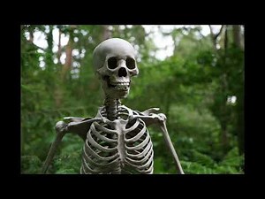 Skeleton Rattling 10 Minutes Edition