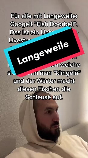 Fish Doorbell Livestream - Watch Fish in Netherlands Dam