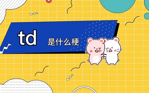td是什么梗