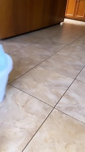 Dollar Tree table #diy #foryou #fyp #dollartree | dollar tree diys