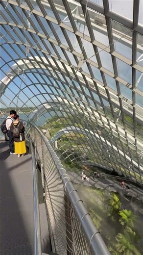 空中步道-雲霧林 Cloud Forest 新加坡