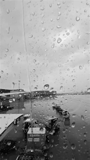 Lord_Bryce on TikTok