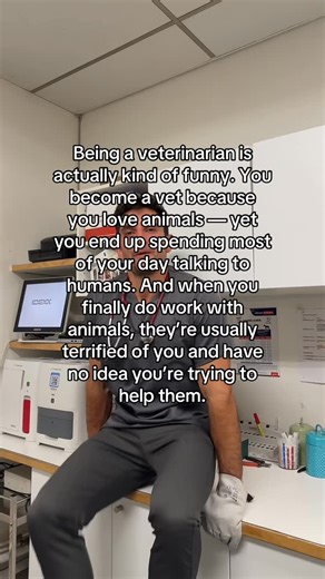 Amir Anwary on Instagram: "Vets deserve a raise … dammit😭😭 #vet #veterinarian #vetlife"