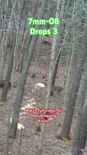 7mm-08 eats!!! #hunting #deer