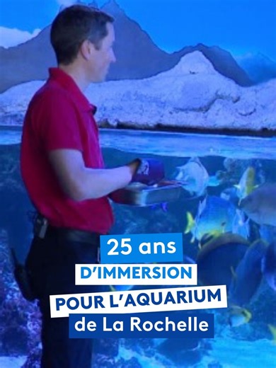 L'Aquarium La Rochelle: 25 ans de merveilles