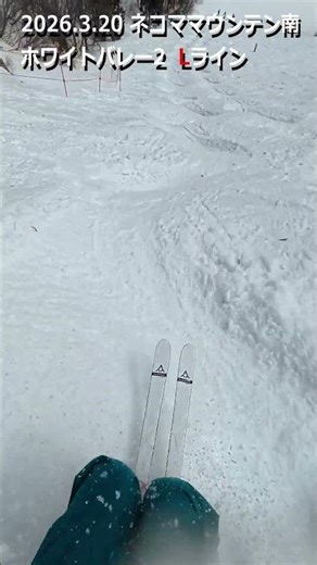 2026.3.20 ネコママウンテン南 ホワイトバレー2 L（#スキー #コブ #モーグル #新雪 #パウダー #会津 #ネコマ #アルツ #ネコママウンテン #shorts）