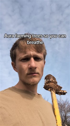 Not a tree farm btw #fyp