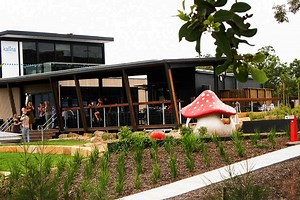 The Cafe Kalina Springfield | Must Do Brisbane