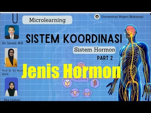 BAHAN AJAR HORMON PART 2 Macam-macam Hormon