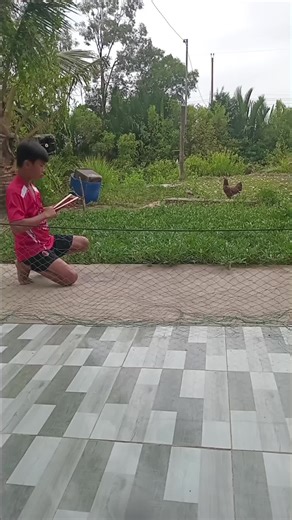 Phấn Không Hồng: Xu Hướng Mới Từ TikTok