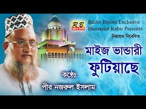 মাইজ ভান্ডারে ফুটিয়াছে বেলায়েতের ফুল। পীর নজরুল ইসলাম Maiz Vandare Fotiyacha Pir Nazrul Islam