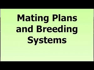 Lecture 5 Part 4- Genetic Strategies for Beef Cattle
