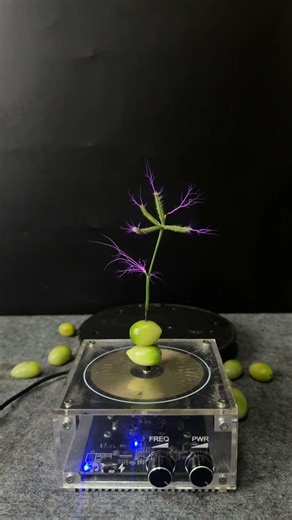 Tesla coil + green tomatoes + Plants