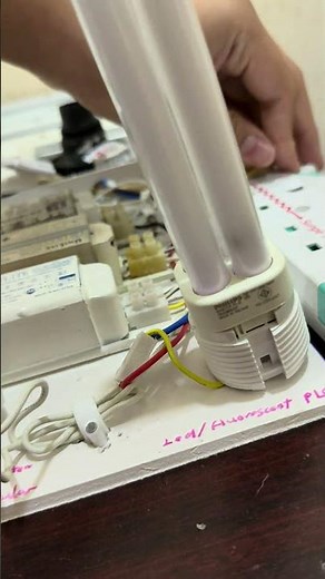 Philips 18w PLC fluorescent bulb 865 cool daylight