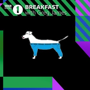 26K views · 181 reactions | If a dog wore jeans, would they be on the back legs only or all four legs? 樂 Greg turned to Tan France to answer the eternal question once and for all  | BBC Radio 1 | Facebook
