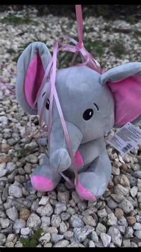 Baby loading Gender reveal 🍼⏳ | Grodex Inc.