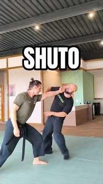 SHUTO NINJUTSU #shorts