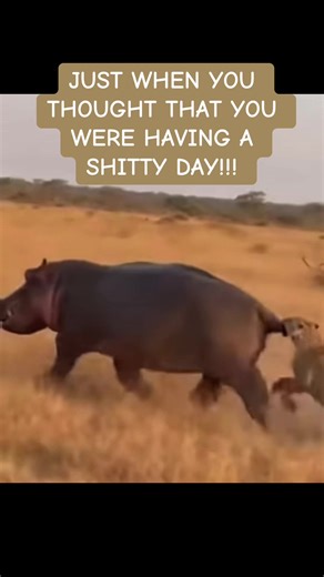 Funny Moments That Make Your Bad Day Better