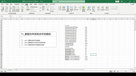 TotalCommander 05_复制文件或文件夹名称