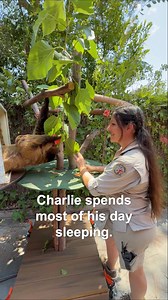 5.7K views · 244 reactions | Say hello to Brianna Phillips, one of...