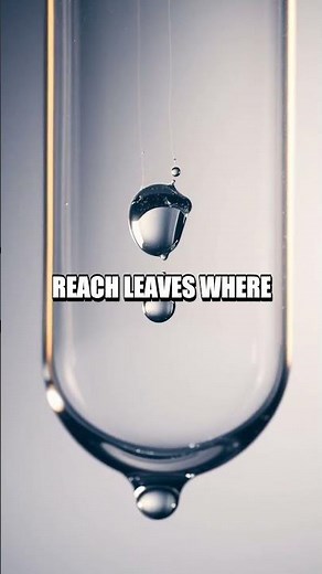 The Quiet Lift Capillary Action in Plants and Everyday Tech