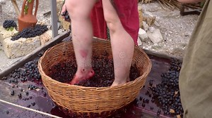 A Young Greek Woman Crushes Grapes with Her Feet. Grape Foot Stomp Stock Footage - Video of farmer, harvesting: 259132618