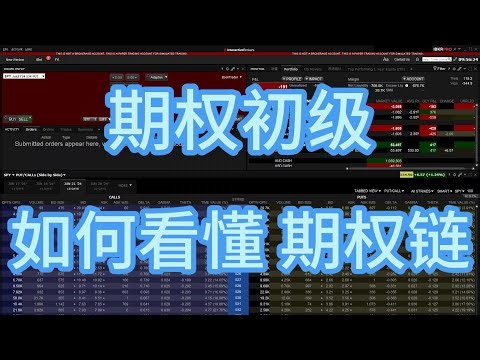 【期权初级】如何看懂期权链 Option Chain | 盈透证券 | 富途Moomoo | 第一证券 | Think or Swim