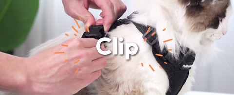 rabbitgoo Cat Harness and Leash for Walking, Escape Proof Soft Adjustable Vest Harnesses for Cats, Easy Control Breathable Reflective Strips Jacket, Green