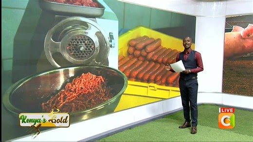 2.4K views · 64 reactions | Buckle up! #KenyasGold is live showcasing Kenya’s finest farmers, fresh innovations, and the golden heart of our agriculture! Where are you tuned in from? | Citizen TV Kenya | Facebook
