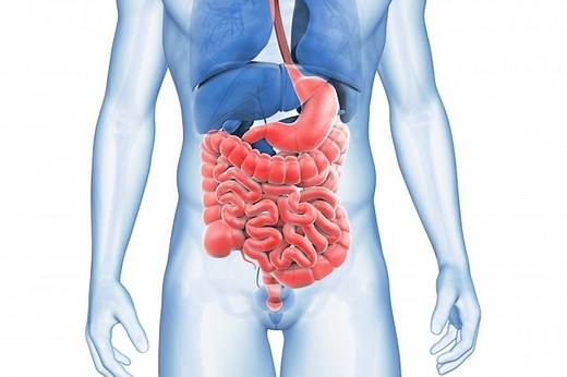Enteritis: qué es, síntomas y tratamiento