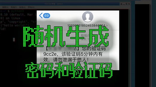 080_如何生成验证码_随机数字密码_random_randint