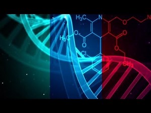Transgenerational Epigenetic Inheritance | Epigenetic Modification | The Environment Controls Genes