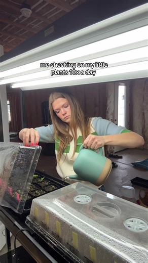 Excited for New Plant Growth 🌱 #gardening