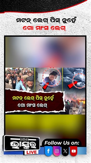 Odisha Bhaskar on Instagram: "ମଟନ କହି ବିକୁଥିଲେ ଗୋମାଂସ #balasore #odishanews #odishabhaskar"