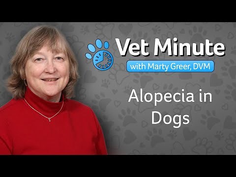 Alopecia in Dogs