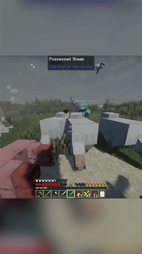 Sheep Just Used Multi Shadow Clone Jutsu!