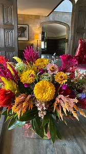 56 reactions | Summer blew through and here we are in October! Already planting for late winter crops and spring 2026 blooms. Incredibly grateful for a wonderful growing season and all the markets attend. Embracing the cooler breezes, slower pace, and more time together as a family. God is good. | Whitton Farms | Facebook