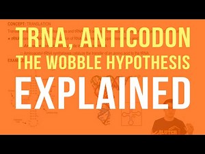 tRNA, Anticodons, and The Wobble Hypothesis