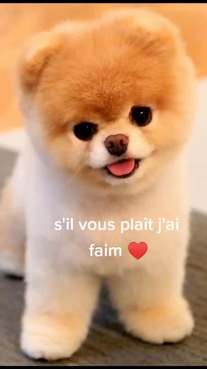 j'ai faim ♥️