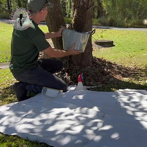 40 reactions | The average age of an Australian beekeeper is...