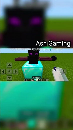 🔥 Ultimate Dragon Head Display in Minecraft!