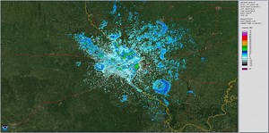 Purple Martin Conservation Association on Reels | Facebook